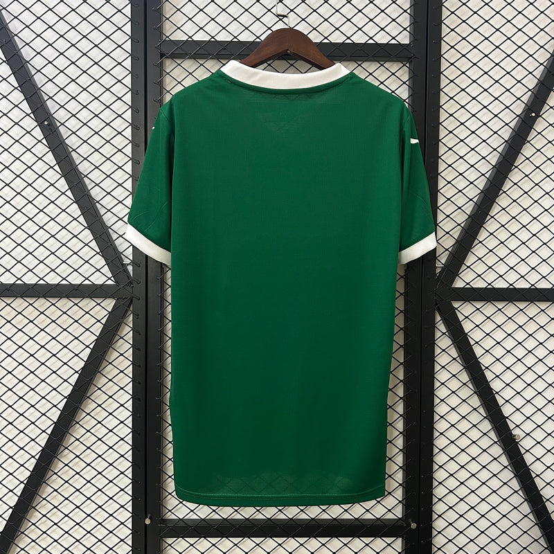 Camisa Palmeiras Home 25/26 Modelo Torcedor