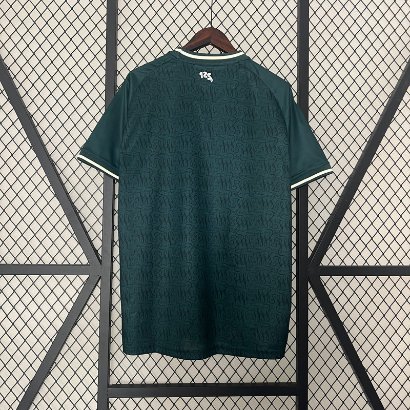 Camisa Werder Bremen Especial 24/25 Modelo Torcedor